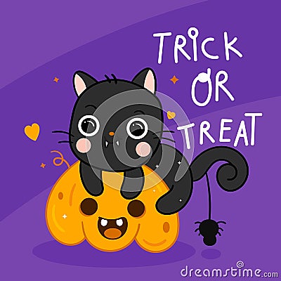 Cute Halloween cat vector and spider with pumpkin cartoon, Pretty kitty Vector Illustration