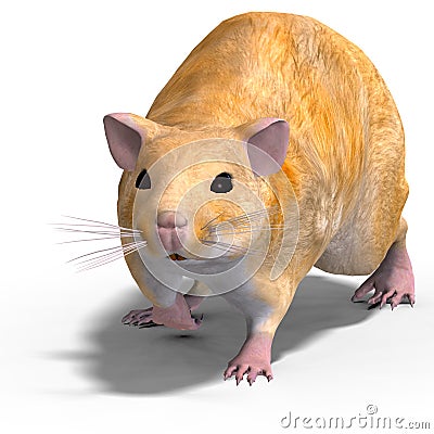 Cute hamster Stock Photo