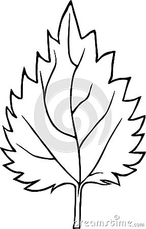 Cute hand drawn nettle leaf in doodle style isolated on white background. Sketch elements set for graphic and web Stock Photo