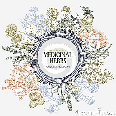 Cute hand-drawn round rope wicker frame with place for text with medicinal herbs Vector Illustration