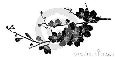 Cute hand drawn silhouette sakura branch set 1. Vector Illustration