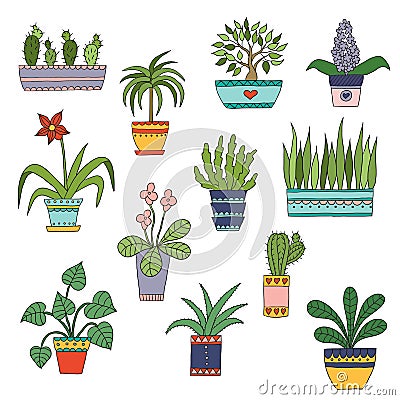 Cute hand drawn vector flowers in the pots. Vector Illustration