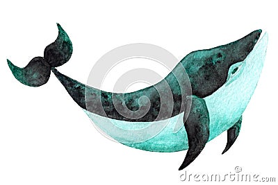 Cute hand drawn watercolor dark green and black colored whale.Hand painted illustration with whale isolated Cartoon Illustration