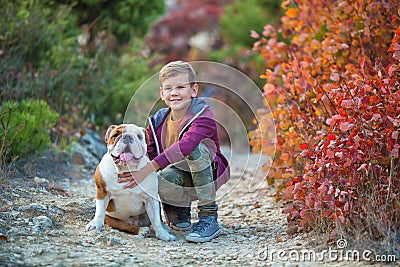 Cute handsome stylish boy enjoying colourful autumn park with his best friend red and white english bull dog. Delightfull Stock Photo