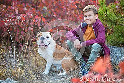 Cute handsome stylish boy enjoying colourful autumn park with his best friend red and white english bull dog.Delightfull Stock Photo