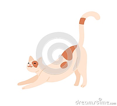 Cute happy cat stretching itself on front paws with tail up. Adorable funny kitty smiling. Friendly kitten. Flat vector Vector Illustration