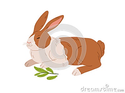 Cute happy rabbit. Small spotty bunny breed lying. Domestic animal with spots on fur. Adorable coney pet. Realistic Vector Illustration