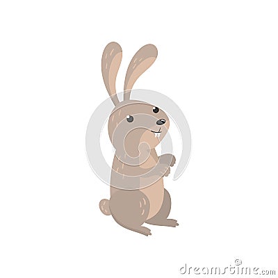 Cute hare woodland cartoon animal vector Illustration Vector Illustration