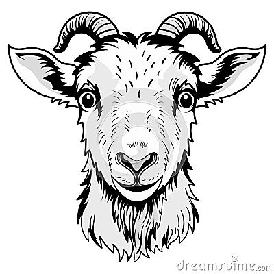Cute Head Anatomy Goat Cartoon Coloring Page Isolated for Kids Vector Illustration