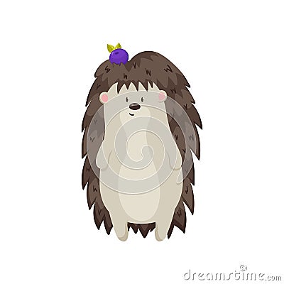 Cute hedgehog stands on hind legs, holding one blueberry on head. Close up front view Vector Illustration