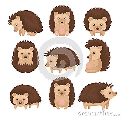 Cute hedgehog in various poses set, prickly animal cartoon character with funny face vector Illustration on a white Vector Illustration