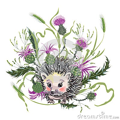 Cute hedgehog among wild herbs and milk Thistle Vector Illustration