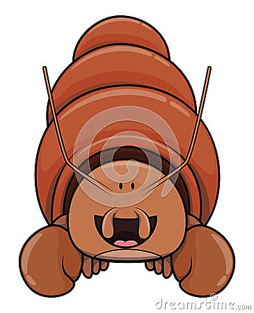 Cute Hermit Crab Front View Color Illustration Vector Illustration