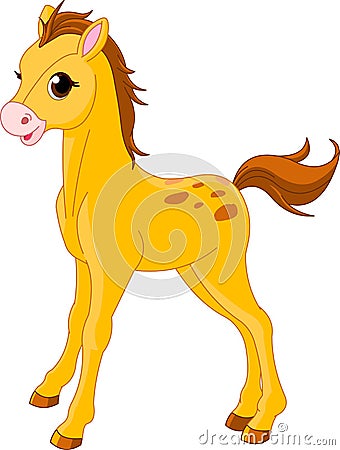 Cute Horse foal Vector Illustration