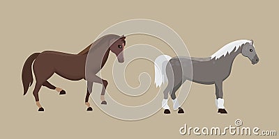 Cute horses in various poses vector design. Cartoon farm wild isolated horse and different silhouette of flat pony Vector Illustration