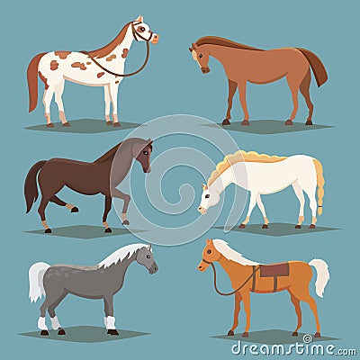 Cute horses in various poses vector design. Cartoon farm wild isolated vector hoses. Collection of animal horse standing Vector Illustration