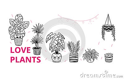 Cute house plants in pots. Vector Illustration