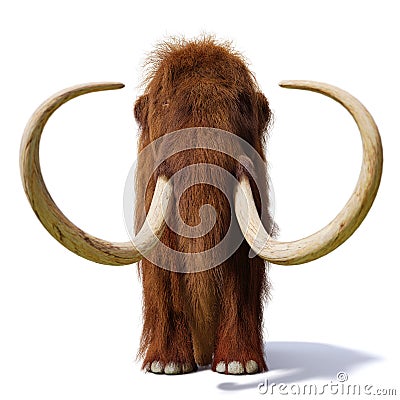 Woolly mammoth, prehistoric mammal front view isolated with shadow on white background Stock Photo