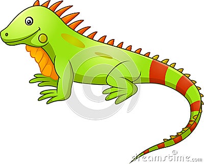 Cute iguana cartoon Vector Illustration