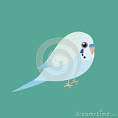 Cute illustration af a light blue budgie Vector Illustration