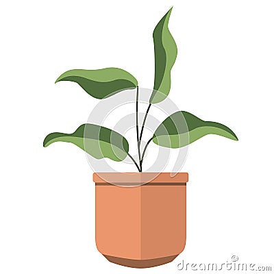 Cute indoor plant icon Vector Vector Illustration