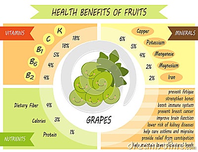 Cute infographic page of Health Benefits of fruits Vector Illustration