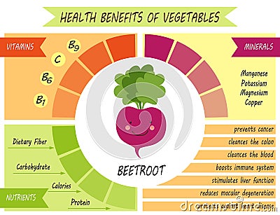 Cute infographic page of Health Benefits of vegetables Vector Illustration