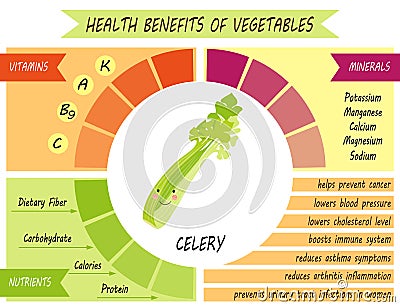 Cute infographic page of Health Benefits of vegetables Vector Illustration