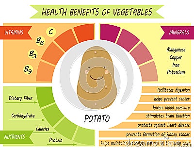 Cute infographic page of Health Benefits of vegetables Vector Illustration