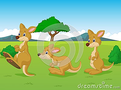 Cute Kangaroo Cartoon Playing In The Grassland Stock Vector - Image