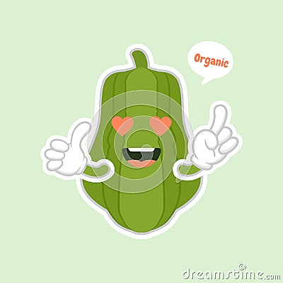 Cute and kawaii Green Chayote Cartoon Character. can be used in restaurant menu, cooking books and organic farm label. Healthy Vector Illustration