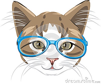 Cute kitten in blue glasses Vector Illustration