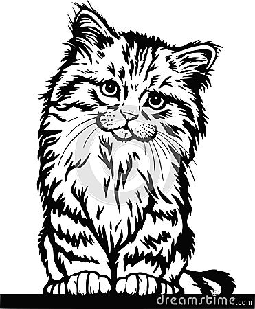 Cute Kitten - Funny Cat isolated on white, Cute Kitty, Pets lover, Pet silhouette, Fluffy kittens. Playing pets. Vector Illustration