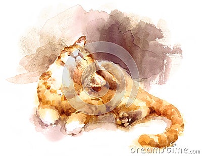 Cute Kitten Laying Down Scratching his head Watercolor Pet Tabby Cat Portrait Illustration Hand Painted Cartoon Illustration