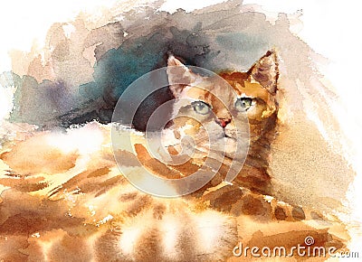Cute Kitten Laying Down Watercolor Pet Tabby Cat Portrait Illustration Hand Painted Cartoon Illustration