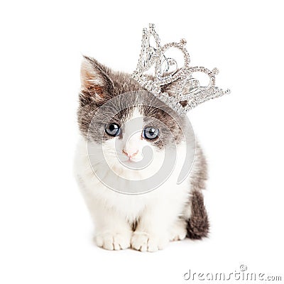 Cute Kitten Wearing Princess Crown Stock Photo