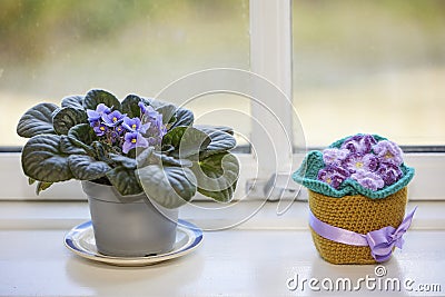 Cute knitted violet toy on the windowsill Stock Photo