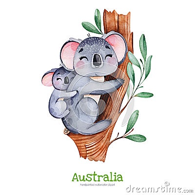 Cute koala with baby on eucalyptus tree. Stock Photo