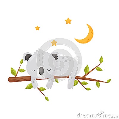 Cute koala bear sleeping on a branch under a starry sky, lovely animal cartoon character, good night design element Vector Illustration