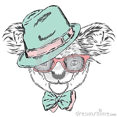 Cute koala in a cap and a tie. Koala vector. Greeting card with bear. Australia. Winter. Skier. Koala wearing glasses. Vector Illustration