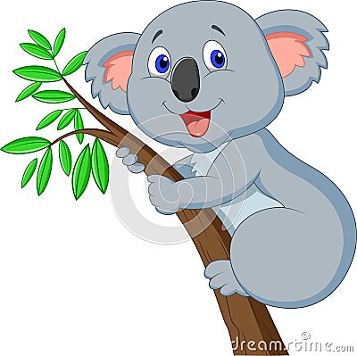 Cute koala cartoon Vector Illustration