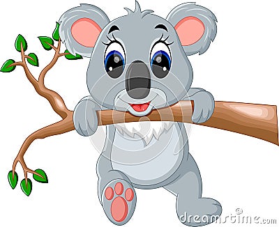 Cute koala cartoon Vector Illustration