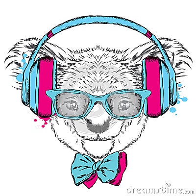 Cute koala on headphones. Music. Vector Illustration