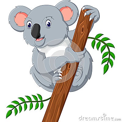 Cute koala Vector Illustration