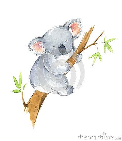Cute koala sitting in a tree, watercolor illustration Cartoon Illustration