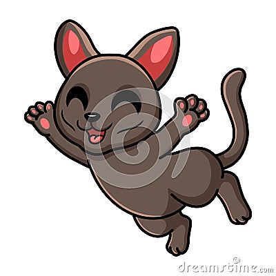 Cute korat cat cartoon flying Vector Illustration