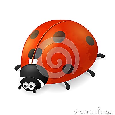 Cute ladybird on white background Vector Illustration