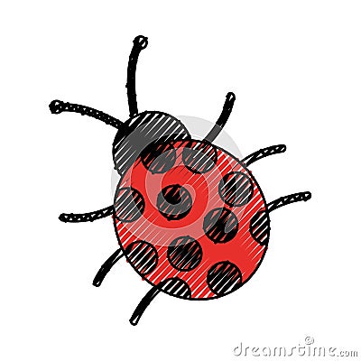 Cute ladybug isolated icon Vector Illustration