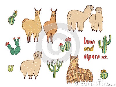 Cute Lama, Alpaca and cactuses set. Hand drawn colorful vector illustration. Vector Illustration