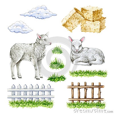 Cute lamb farm set. Hand drawn illustration. Cute little newborn sheep, green grass, fence, hay, clouds. Domestic farm Cartoon Illustration